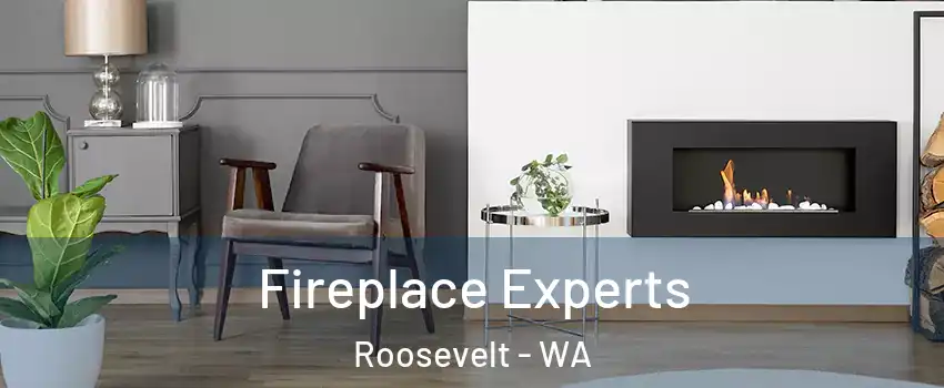 Fireplace Experts Roosevelt - WA