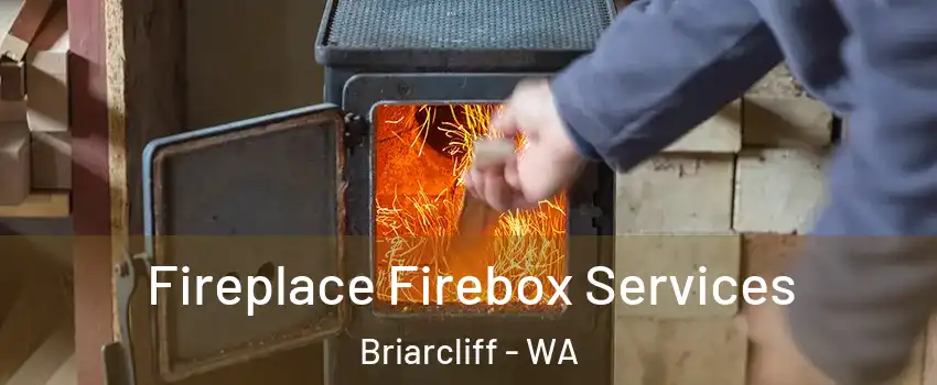 Fireplace Firebox Services Briarcliff - WA