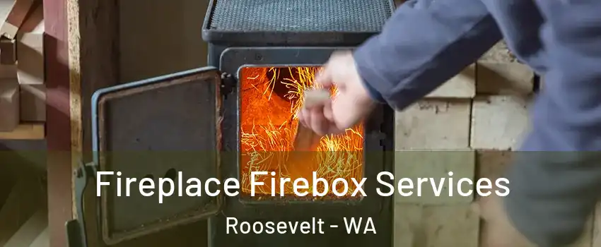 Fireplace Firebox Services Roosevelt - WA