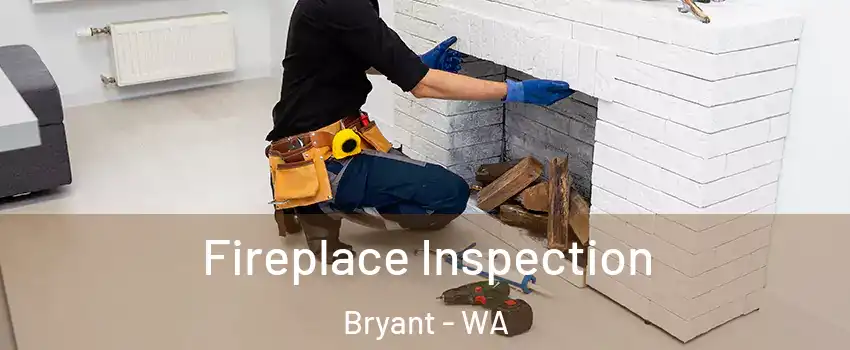 Fireplace Inspection Bryant - WA