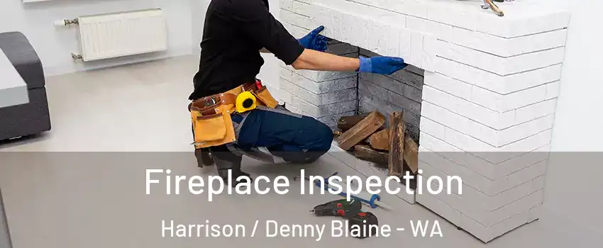 Fireplace Inspection Harrison / Denny Blaine - WA