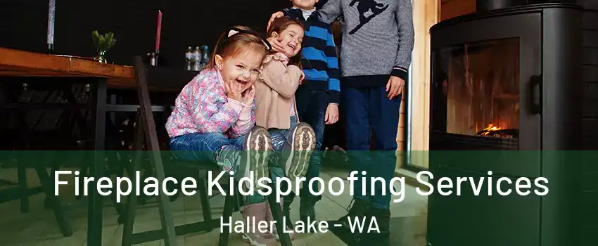 Fireplace Kidsproofing Services Haller Lake - WA