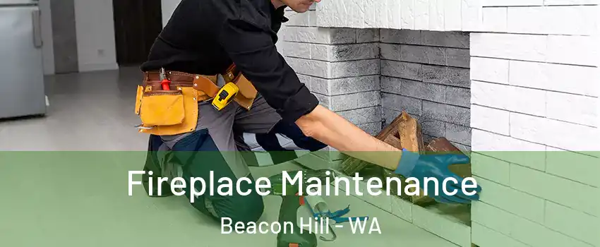 Fireplace Maintenance Beacon Hill - WA