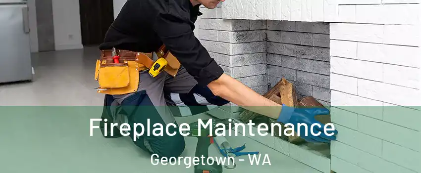 Fireplace Maintenance Georgetown - WA