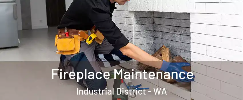 Fireplace Maintenance Industrial District - WA