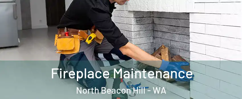 Fireplace Maintenance North Beacon Hill - WA