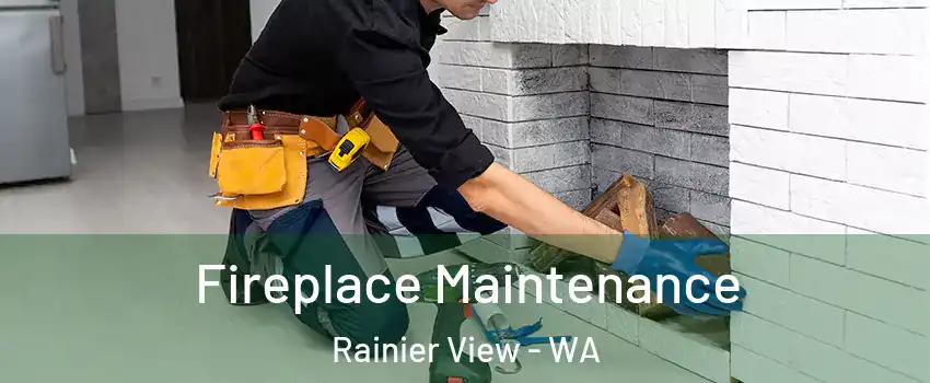 Fireplace Maintenance Rainier View - WA