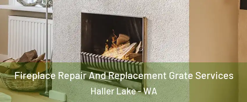 Fireplace Repair And Replacement Grate Services Haller Lake - WA