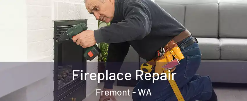 Fireplace Repair Fremont - WA