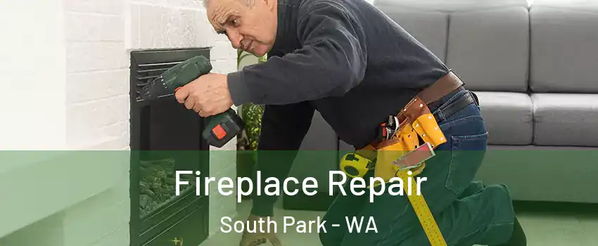 Fireplace Repair South Park - WA