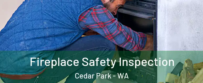 Fireplace Safety Inspection Cedar Park - WA