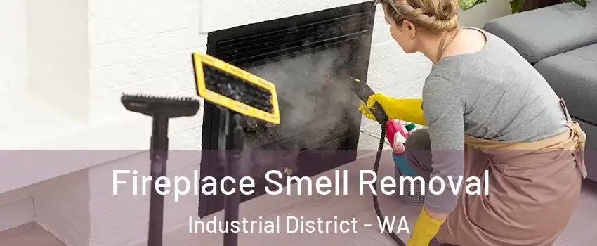 Fireplace Smell Removal Industrial District - WA