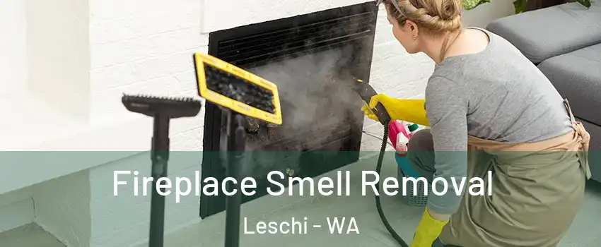 Fireplace Smell Removal Leschi - WA