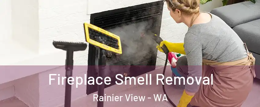 Fireplace Smell Removal Rainier View - WA