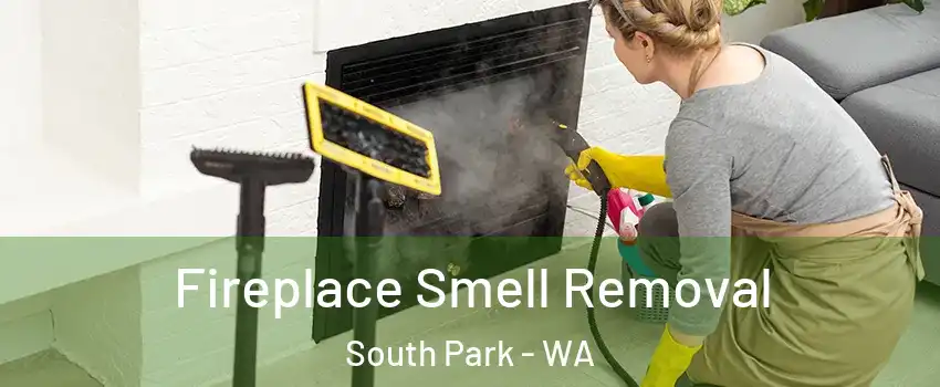 Fireplace Smell Removal South Park - WA