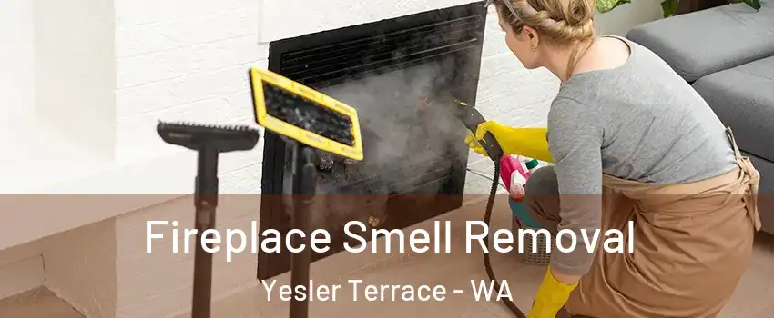 Fireplace Smell Removal Yesler Terrace - WA