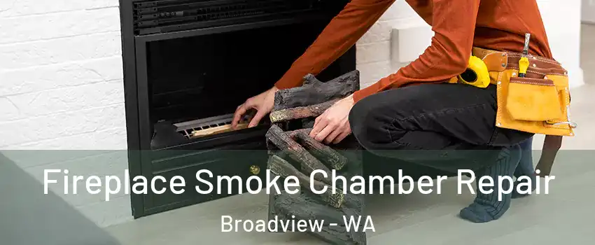 Fireplace Smoke Chamber Repair Broadview - WA