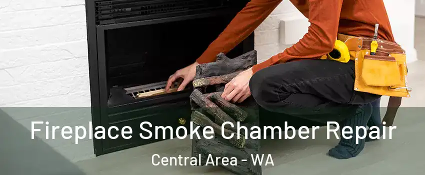 Fireplace Smoke Chamber Repair Central Area - WA