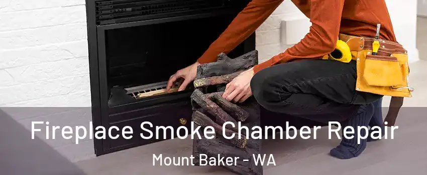 Fireplace Smoke Chamber Repair Mount Baker - WA