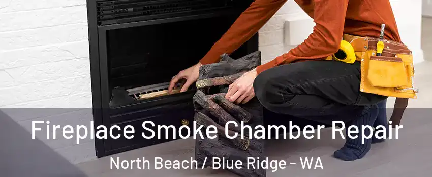 Fireplace Smoke Chamber Repair North Beach / Blue Ridge - WA