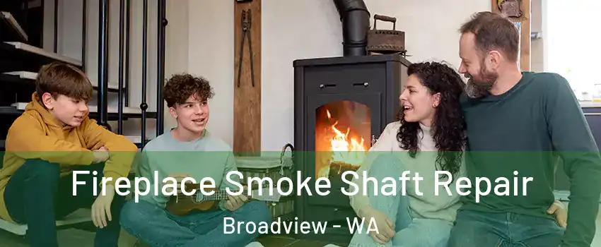 Fireplace Smoke Shaft Repair Broadview - WA