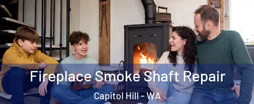 Fireplace Smoke Shaft Repair Capitol Hill - WA