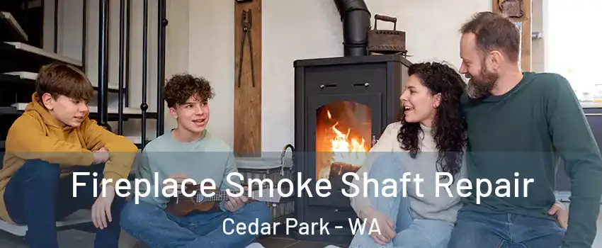 Fireplace Smoke Shaft Repair Cedar Park - WA