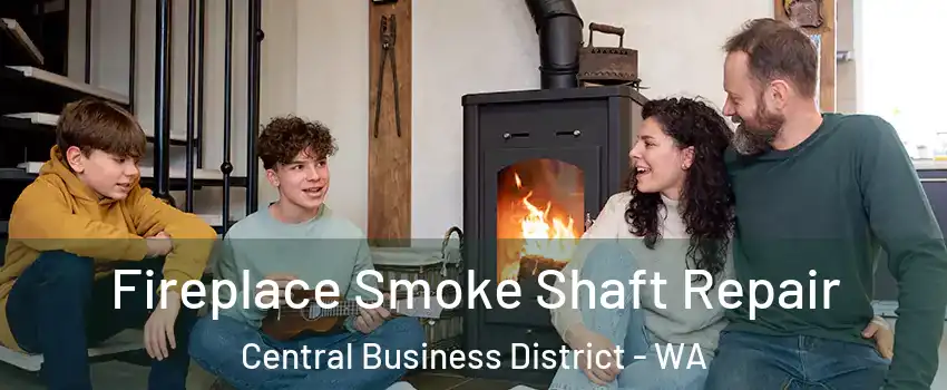 Fireplace Smoke Shaft Repair Central Business District - WA