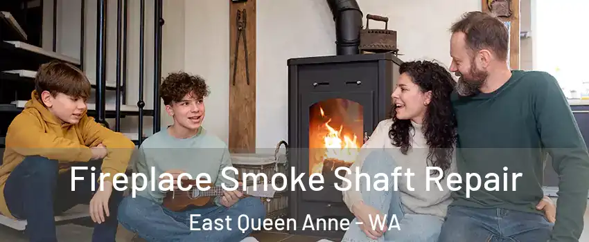 Fireplace Smoke Shaft Repair East Queen Anne - WA