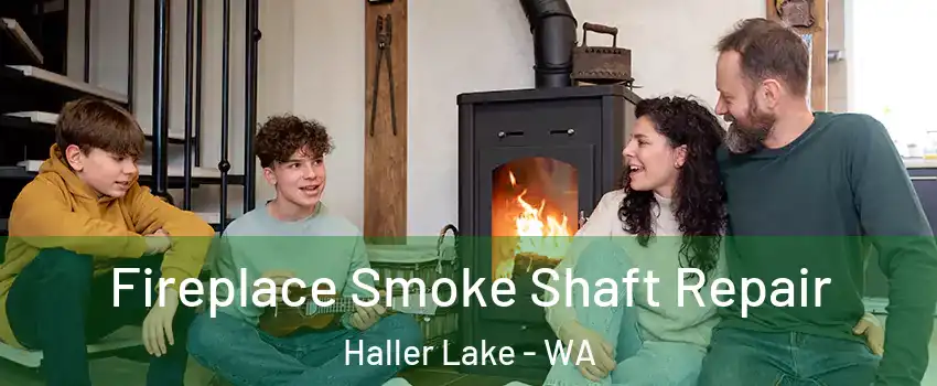 Fireplace Smoke Shaft Repair Haller Lake - WA