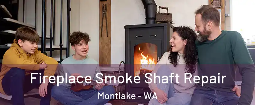 Fireplace Smoke Shaft Repair Montlake - WA