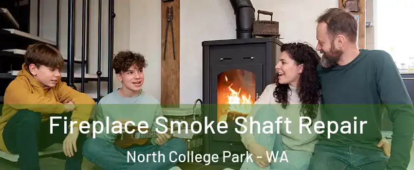 Fireplace Smoke Shaft Repair North College Park - WA