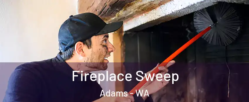 Fireplace Sweep Adams - WA