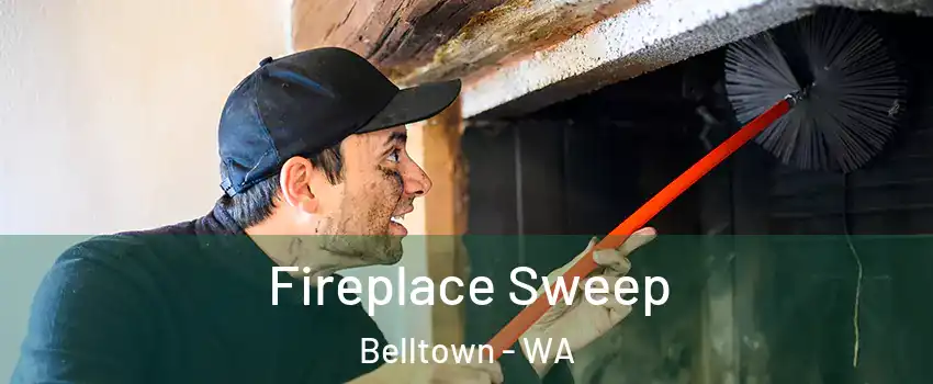 Fireplace Sweep Belltown - WA