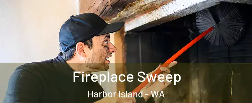 Fireplace Sweep Harbor Island - WA