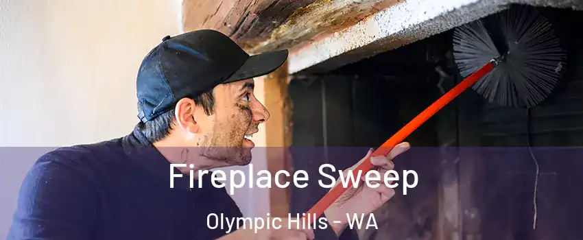 Fireplace Sweep Olympic Hills - WA