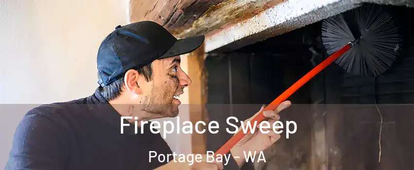 Fireplace Sweep Portage Bay - WA