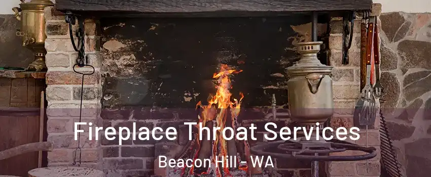 Fireplace Throat Services Beacon Hill - WA