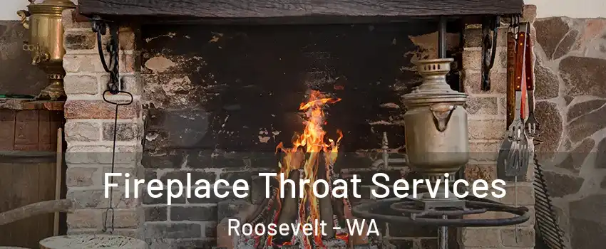 Fireplace Throat Services Roosevelt - WA