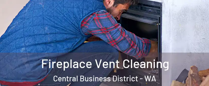 Fireplace Vent Cleaning Central Business District - WA