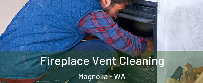 Fireplace Vent Cleaning Magnolia - WA