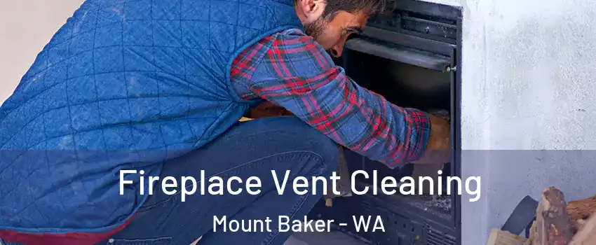 Fireplace Vent Cleaning Mount Baker - WA