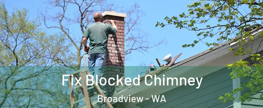 Fix Blocked Chimney Broadview - WA