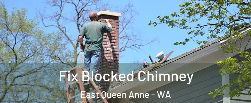 Fix Blocked Chimney East Queen Anne - WA