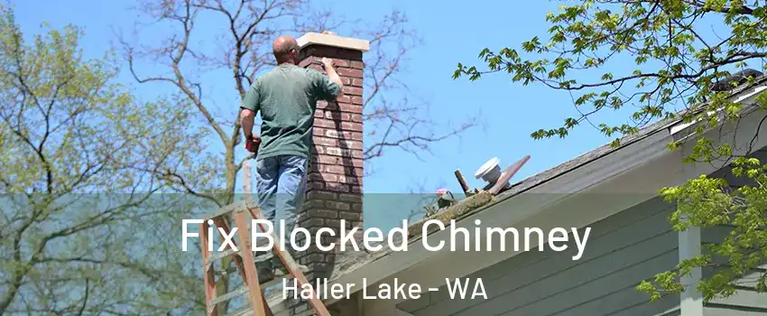 Fix Blocked Chimney Haller Lake - WA