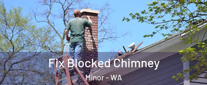 Fix Blocked Chimney Minor - WA