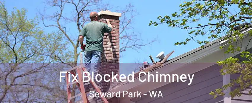 Fix Blocked Chimney Seward Park - WA