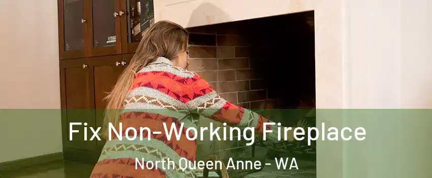 Fix Non-Working Fireplace North Queen Anne - WA