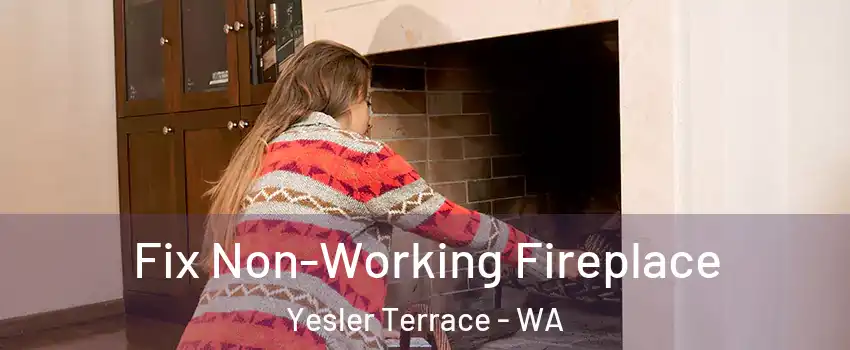 Fix Non-Working Fireplace Yesler Terrace - WA