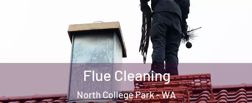 Flue Cleaning North College Park - WA